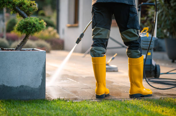Best Roof Pressure Washing  in Big Pine Key, FL
